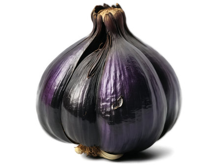 Black Garlic (Allium sativum) Glossy black garlic cloves with a caramelized, sweet-savory flavor, used in sauces, spreads, and gourmet dishes.の素材