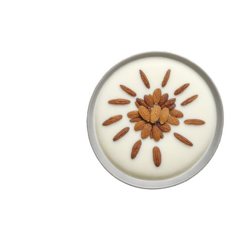 Coconut and Date Pudding - A traditional Maldivian dessert made from coconut milk and dates, often flavored with cinnamonの素材