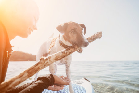 Dog, Stick, Paddleboard - Person Holding Dog with Stick on Paddleboard in Ocean