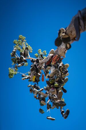 Shoe Tree on Highway 395, south of Susanville California, 30 miles north of Reno, Nevada.の写真素材