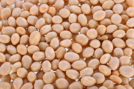 background of soybeans
