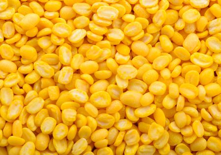 Bean yellow backgroundの写真素材