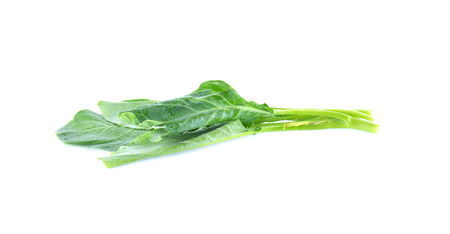 Chinese kale vegetable isolated on white background.の写真素材