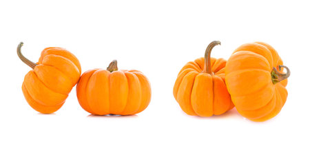 Pumpkins isolated on white backgroundの写真素材