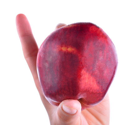 Red ripe appleの写真素材