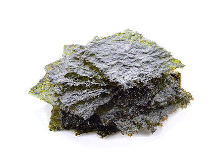 Algae plate on white backgroundの写真素材