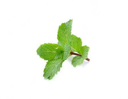 Mint leaves isolated on white backgroundの写真素材