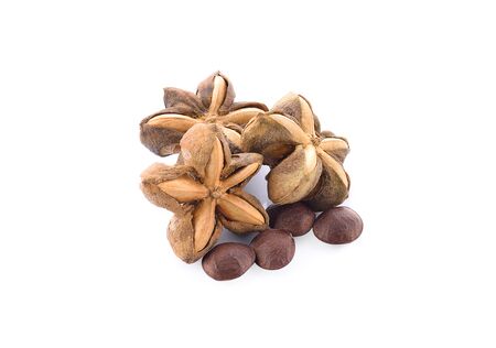 Roasted peanuts stars Inca on white backgroundの写真素材