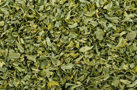 parsley leaf on white backgroundの写真素材