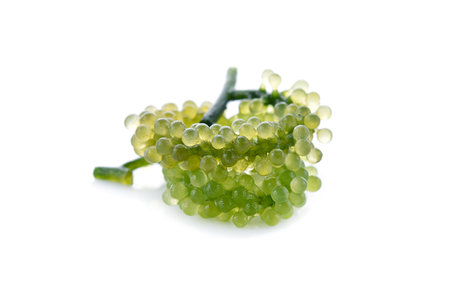 Sea grape isolated on a white backgroundの写真素材