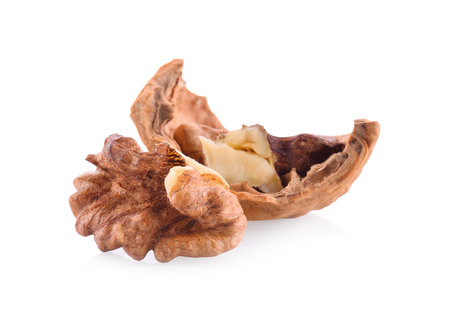 walnut on a white background