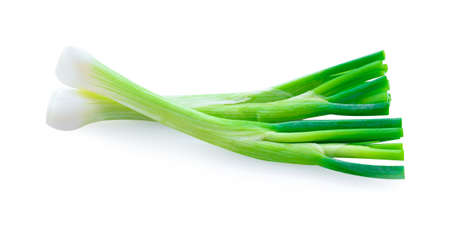 Spring onions isolated on a white background.の写真素材