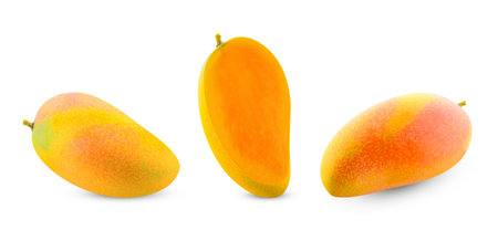 Mango fruit collection isolated on white background