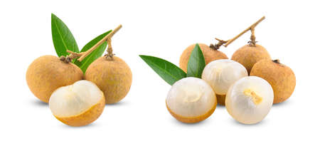 longan isolated on white backgroundの写真素材