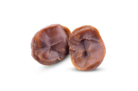 Chestnut isolated on a white backgroundの写真素材