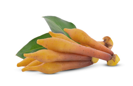 Finger root lngredients for thai cuisine on white background