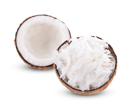 coconut on white backgroundの写真素材