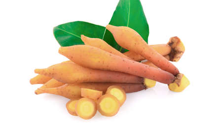 Fingerroot, Kaempfer, Boesenbergia on white backgroundの写真素材
