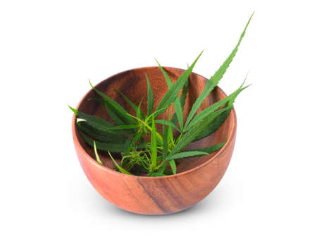 cannabis in a bowl isolated on a white backgroundの写真素材