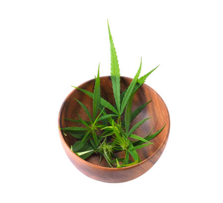 cannabis in a bowl isolated on a white backgroundの写真素材