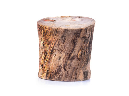 Logs and patterns on wood isolated on white background.