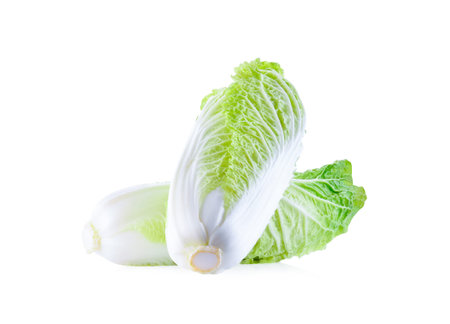 fresh chinese cabbage on a white backgroundの写真素材