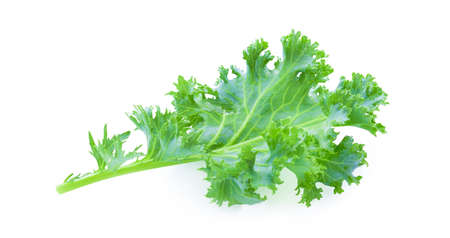 fresh kale leaves isolated on white backgroundの写真素材