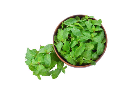 fresh mint leaves in wooden bowl isolated on white background