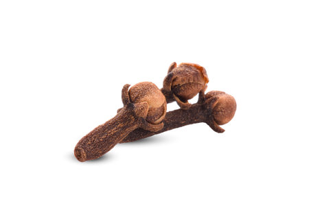 aromatic spice cloves isolated on white backgroundの写真素材