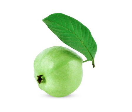 Guava isolated on a white background.の写真素材