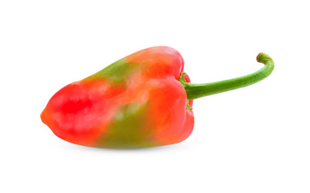 Red chili peppers isolated on white background.の写真素材