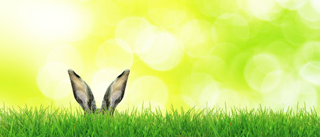 Easter composition with rabbit. Festive decoration. Happy Easter!