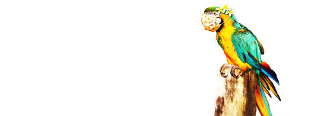 Corona virus outbreak. Travel at pandemic time conceptの写真素材