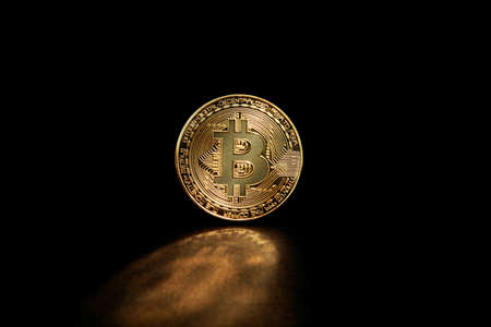 Cryptocurrency concept. Trends in bitcoin exchange rates. Rise and fall of bitcoin.の写真素材