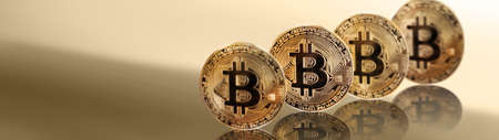 Cryptocurrency concept. Trends in bitcoin exchange rates. Rise and fall of bitcoin.の写真素材