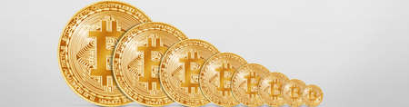 Cryptocurrency concept. Trends in bitcoin exchange rates. Rise and fall of bitcoin.の写真素材