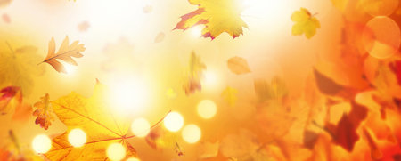 Beautiful autumn background with yellow and red leaves.