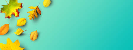 Beautiful autumn background with yellow and red leaves.の写真素材