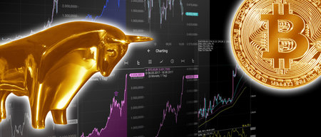 Cryptocurrency concept. Trends in bitcoin exchange rates. Rise and fall of bitcoin.の写真素材