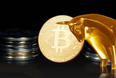 Cryptocurrency concept. Trends in bitcoin exchange rates. Rise and fall of bitcoin.の写真素材