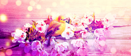 Concept of bird lovers and bird watching. A beauty of the environment nature. Ornithology.