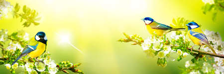 Concept of bird lovers and bird watching. A beauty of the environment nature. Ornithology.の写真素材