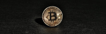 Cryptocurrency concept. Trends in bitcoin exchange rates. Rise and fall of bitcoin.