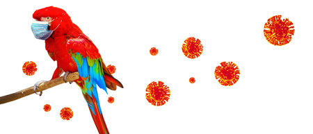 Corona virus outbreak. Travel at pandemic time concept