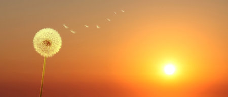 Beautiful dreamy spring nature background with dandelionの写真素材