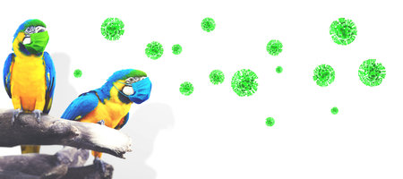 Corona virus outbreak. Travel at pandemic time concept
