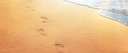 Detail of human feet in the golden sand at the beach. Summer travel and vacation concept.の写真素材