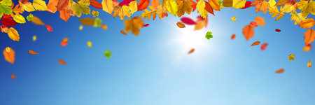 Beautiful autumn background with yellow and red leaves.