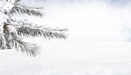 Christmas composition and winter concept. Snow landscape. Christmas and New Year border art design.の写真素材