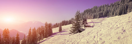 Christmas composition and winter concept. Snow landscape. Christmas and New Year border art design.